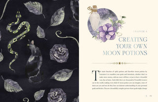 Moon Apothecary by Lorriane  Anderson: Hardcover