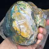 Ocean Jasper Healing Crystal Skull