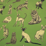 The Illustrated Cat Breeds Matte Fine Wrapping Paper laid out showing off the design.