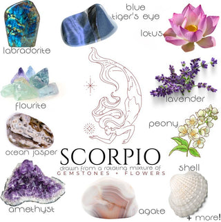 Crystals, flowers, and herbs that pair well with Scorpio all on a white background.