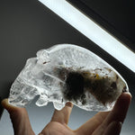 Crystal Alien Skull - Lodolite