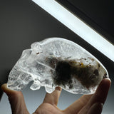 Crystal Alien Skull - Lodolite
