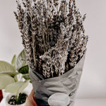 Dried French Lavender Bunches