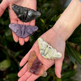 Crystal Butterfly - Healing Energy