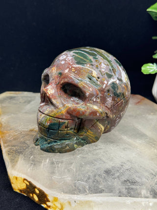 Crystal Skull - Ocean Jasper