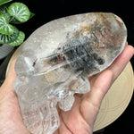 Crystal Alien Skull - Lodolite