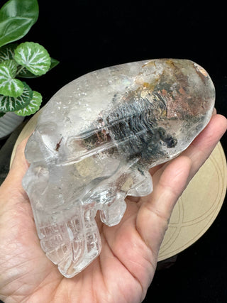 Crystal Alien Skull - Lodolite