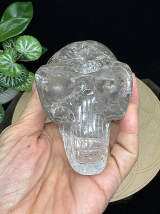 Crystal Alien Skull - Lodolite