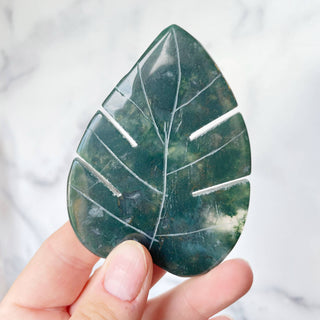 Moss Agate Monstera Leaf Carving