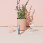 Mindful Meditation Kit