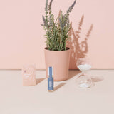 Mindful Meditation Kit