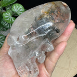 Crystal Alien Skull - Lodolite