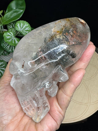 Crystal Alien Skull - Lodolite