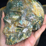 Ocean Jasper Healing Crystal Skull