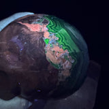 Rare Green & Red Uv Reactive Volcanic Agate Skull