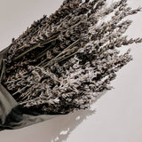 Dried French Lavender Bunches