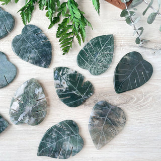 Moss Agate Monstera Leaf Carving