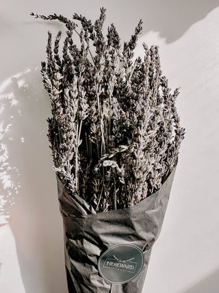 Dried French Lavender Bunches