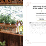 Harry Potter: Herbology Magic 