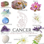 Crystals, flowers, and herbs that pair well with Cancer all on a white background.