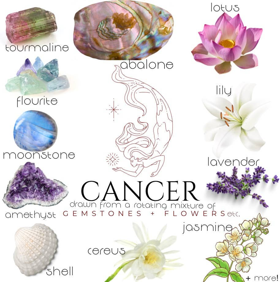 Crystals, flowers, and herbs that pair well with Cancer all on a white background.