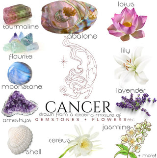 Crystals, flowers, and herbs that pair well with Cancer all on a white background.