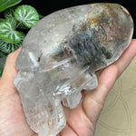 Crystal Alien Skull - Lodolite