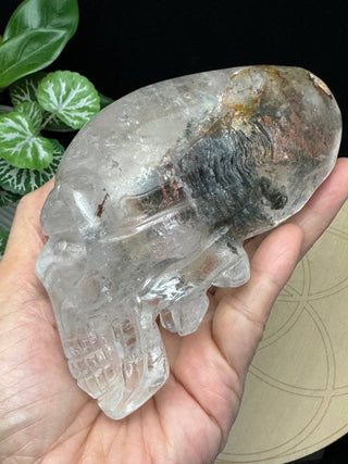 Crystal Alien Skull - Lodolite