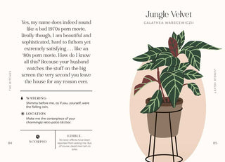 Houseplants and Their F* Up Thoughts by Carlyle Christoff