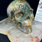 Ocean Jasper Healing Crystal Skull