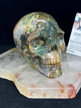 Ocean Jasper Healing Crystal Skull