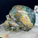 Ocean Jasper Healing Crystal Skull