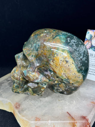 Ocean Jasper Healing Crystal Skull