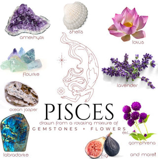 Crystals, flowers, and herbs that pair well with Pisces all on a white background.