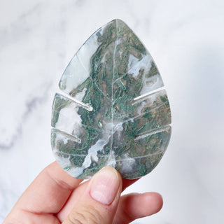 Moss Agate Monstera Leaf Carving