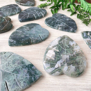 Moss Agate Monstera Leaf Carving