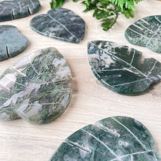 Moss Agate Monstera Leaf Carving