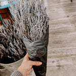 Dried French Lavender Bunches