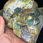 Ocean Jasper Healing Crystal Skull