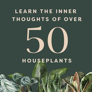 Houseplants and Their F* Up Thoughts by Carlyle Christoff