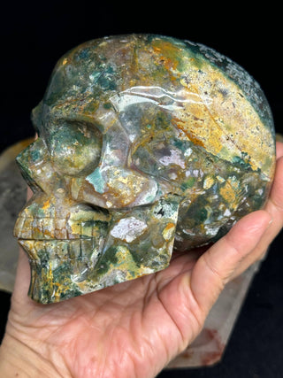 Ocean Jasper Healing Crystal Skull