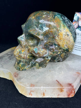 Ocean Jasper Healing Crystal Skull