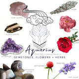 Crystals, flowers, and herbs that pair well with Aquarius all on a white background.