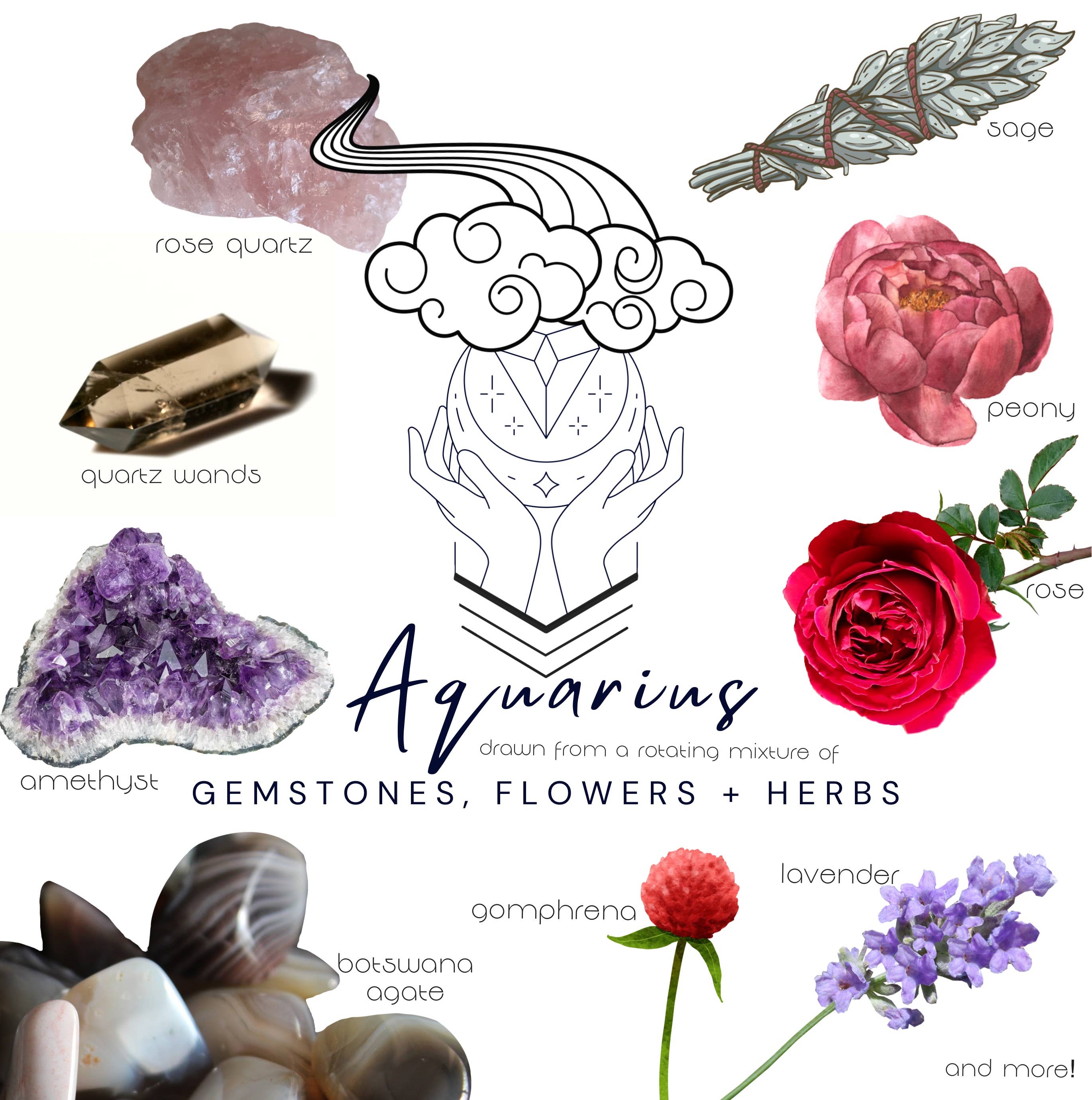 Crystals, flowers, and herbs that pair well with Aquarius all on a white background.