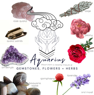 Crystals, flowers, and herbs that pair well with Aquarius all on a white background.