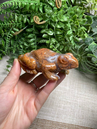 Agate Crystal Frog