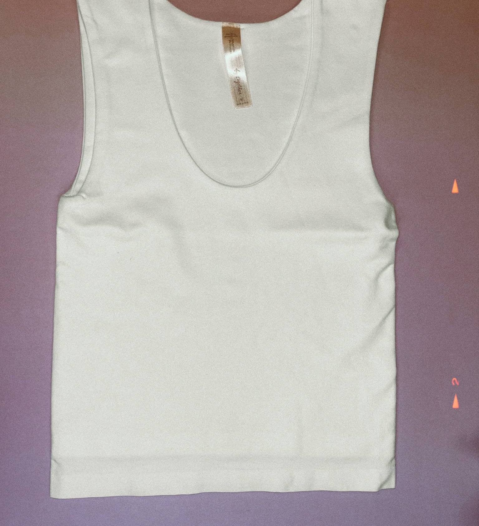 Double Layered Seamless Top