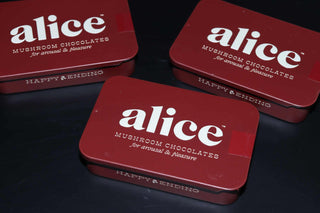 Alice Mushrooms Chocolate for Arousal