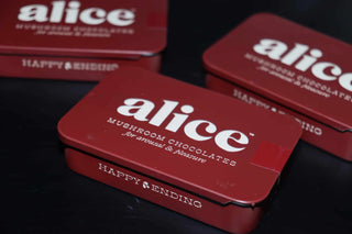 Alice Mushrooms Chocolate for Arousal