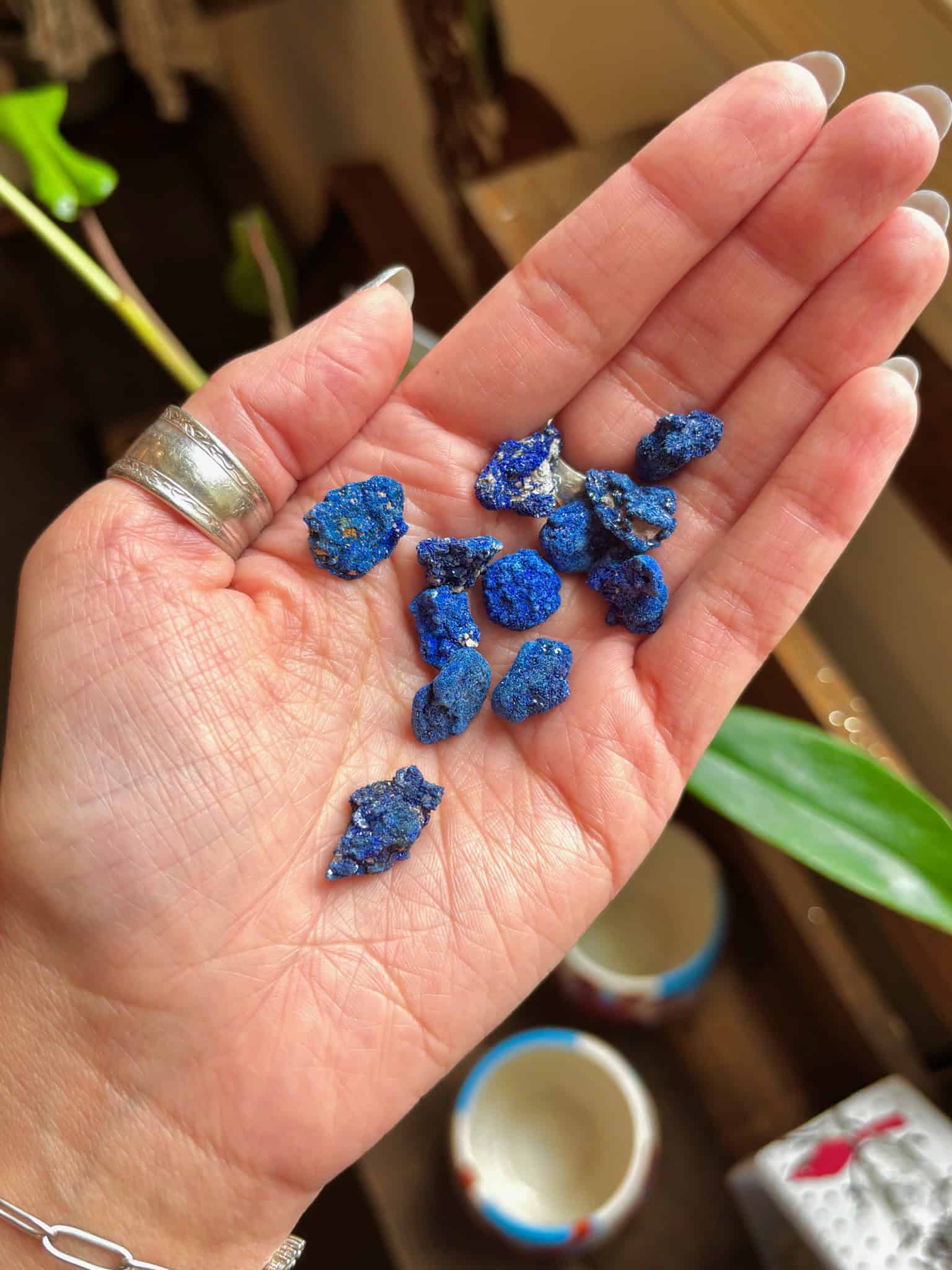 azurite blueberries in hand 